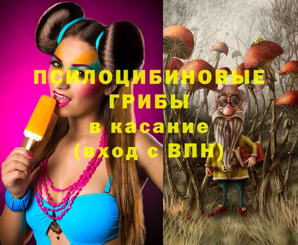 ECSTASY Аркадак