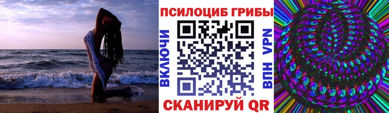 Псилоцибиновые грибы Psilocybe  Печоры 